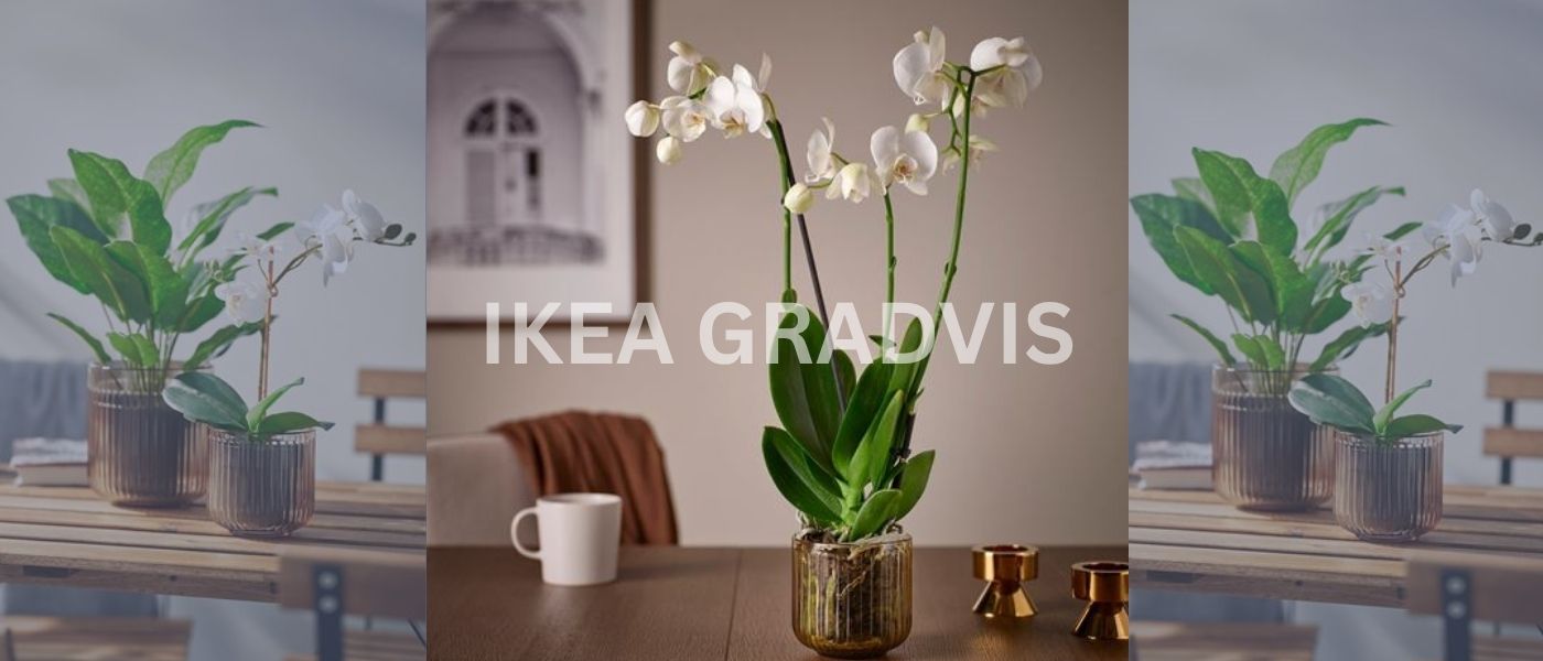 گلدان ایکیا مدل IKEA GRADVIS